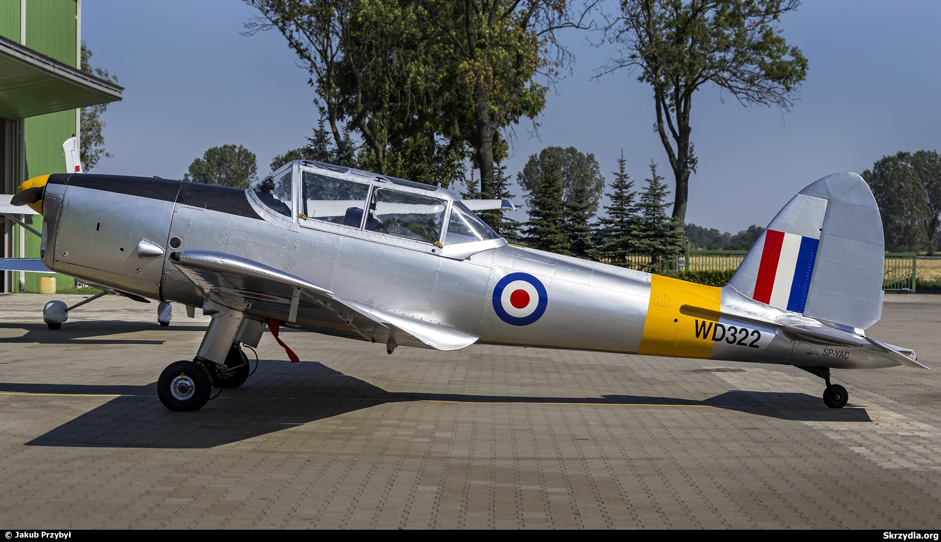Chipmunk Gallery 11