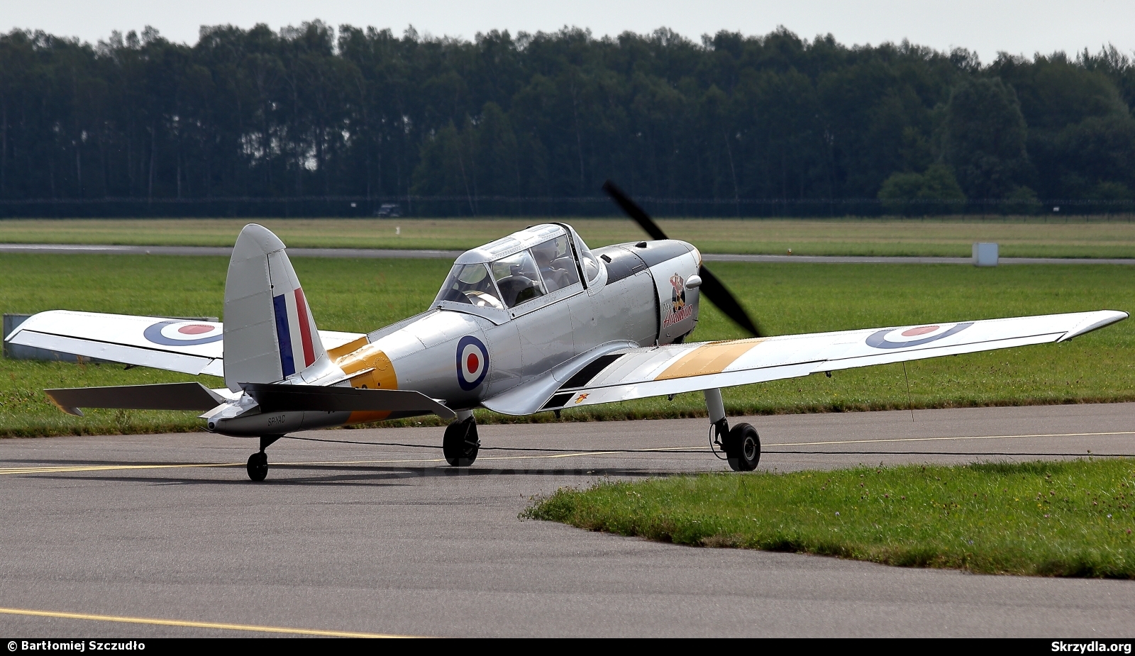 Chipmunk Gallery 13